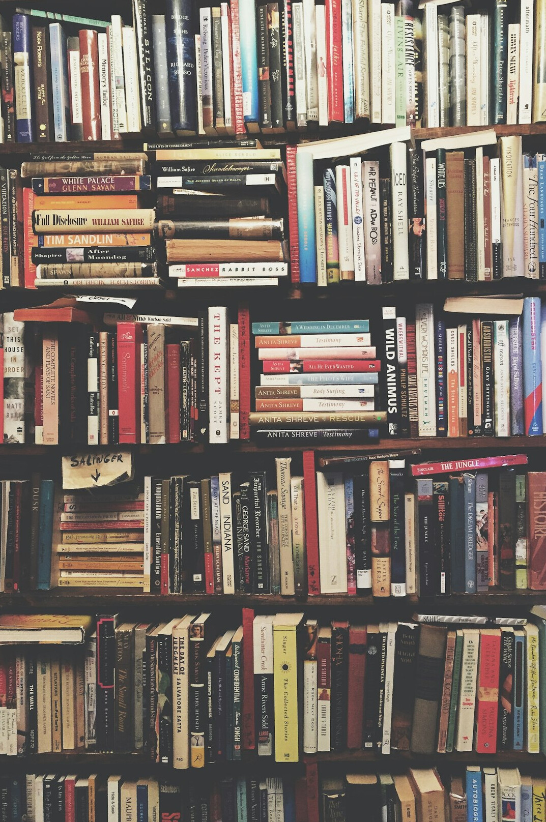 bookshelf with novels