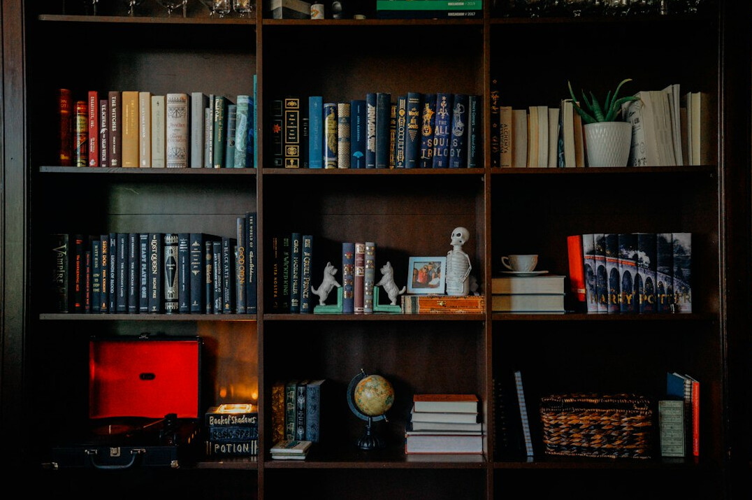 bookshelf filled with mystery novels