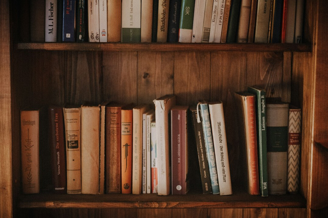bookshelf with mystery novels